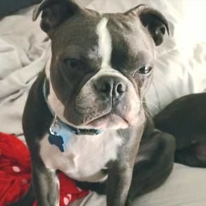 Meet your Posher, Kas